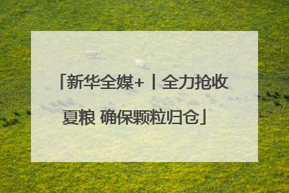 新华全媒+丨全力抢收夏粮 确保颗粒归仓