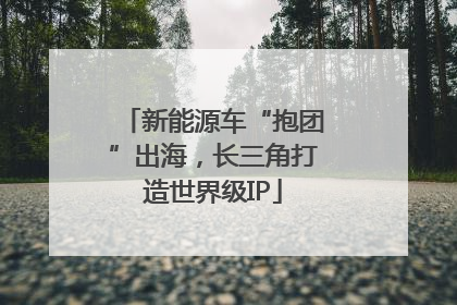 新能源车“抱团”出海，长三角打造世界级IP