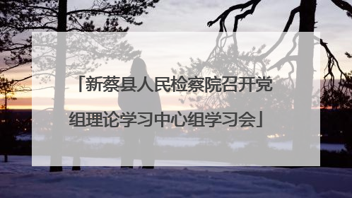新蔡县人民检察院召开党组理论学习中心组学习会
