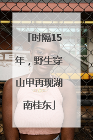 时隔15年，野生穿山甲再现湖南桂东