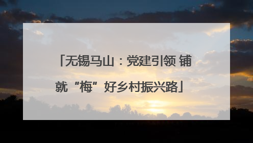 无锡马山：党建引领 铺就“梅”好乡村振兴路