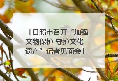 日照市召开“加强文物保护 守护文化遗产”记者见面会