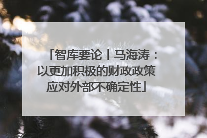 智库要论丨马海涛：以更加积极的财政政策应对外部不确定性