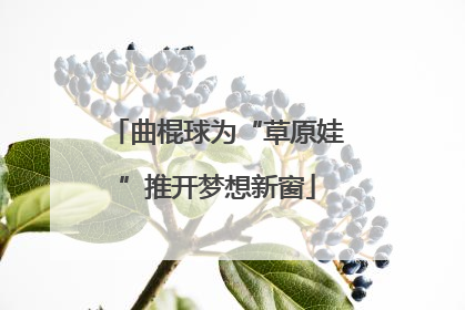 曲棍球为“草原娃”推开梦想新窗
