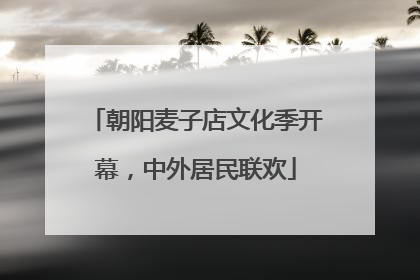 朝阳麦子店文化季开幕，中外居民联欢