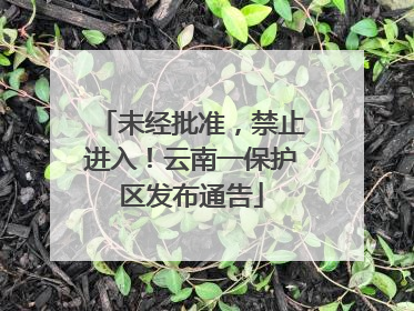 未经批准，禁止进入！云南一保护区发布通告
