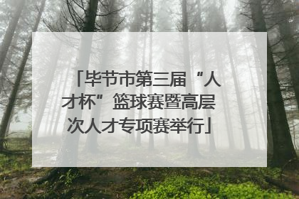 毕节市第三届“人才杯”篮球赛暨高层次人才专项赛举行