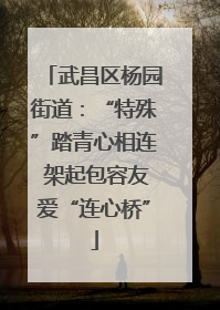 武昌区杨园街道：“特殊”踏青心相连 架起包容友爱“连心桥”