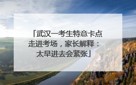 武汉一考生特意卡点走进考场，家长解释：太早进去会紧张