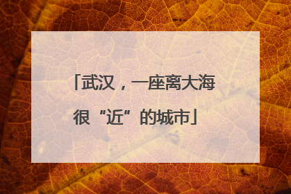武汉，一座离大海很“近”的城市