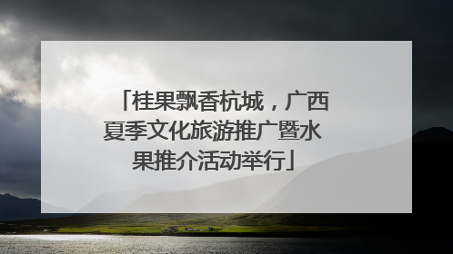 桂果飘香杭城，广西夏季文化旅游推广暨水果推介活动举行