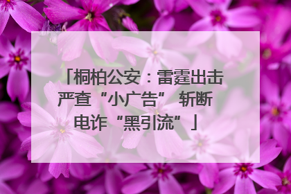 桐柏公安：雷霆出击严查“小广告” 斩断电诈“黑引流”