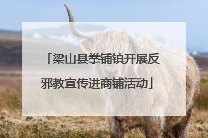 梁山县拳铺镇开展反邪教宣传进商铺活动