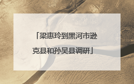 梁惠玲到黑河市逊克县和孙吴县调研