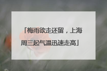 梅雨欲走还留，上海周三起气温迅速走高