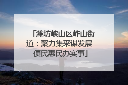 潍坊峡山区岞山街道：聚力集采谋发展 便民惠民办实事