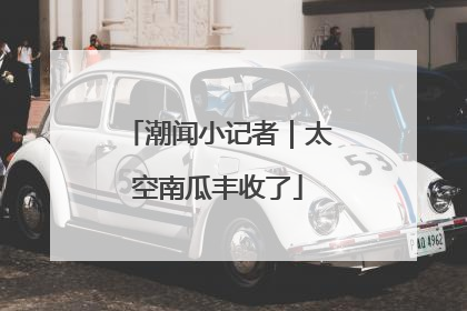 潮闻小记者｜太空南瓜丰收了