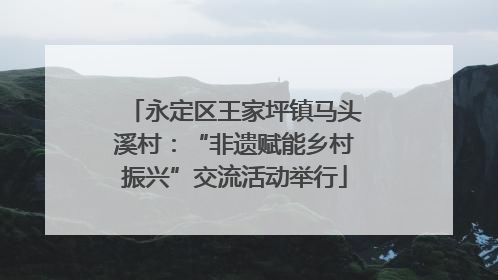 永定区王家坪镇马头溪村：“非遗赋能乡村振兴”交流活动举行