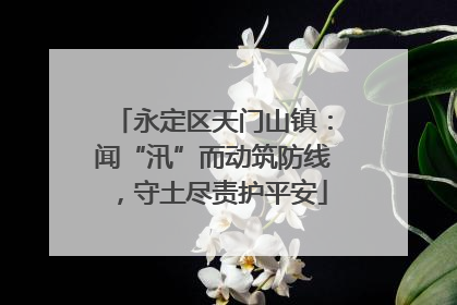 永定区天门山镇：闻“汛”而动筑防线，守土尽责护平安