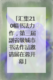 汇集210幅书法力作，第三届副省级城市书法作品邀请展在蓉开幕