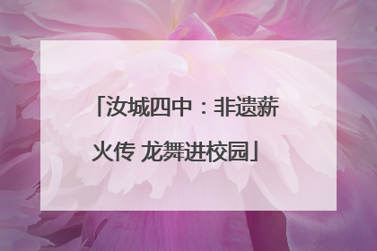 汝城四中：非遗薪火传 龙舞进校园