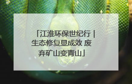 江淮环保世纪行｜生态修复显成效 废弃矿山变青山