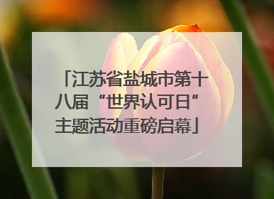江苏省盐城市第十八届“世界认可日”主题活动重磅启幕