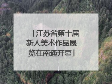 江苏省第十届新人美术作品展览在南通开幕