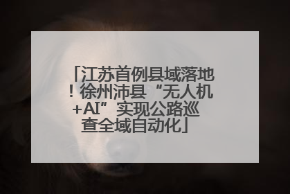 江苏首例县域落地！徐州沛县“无人机+AI”实现公路巡查全域自动化