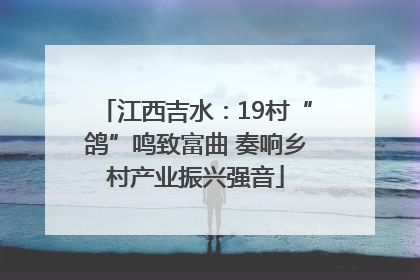 江西吉水：19村“鸽”鸣致富曲 奏响乡村产业振兴强音
