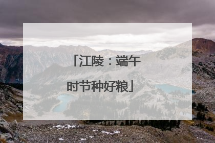 江陵：端午时节种好粮