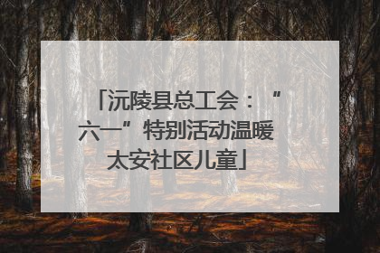 沅陵县总工会：“六一”特别活动温暖太安社区儿童