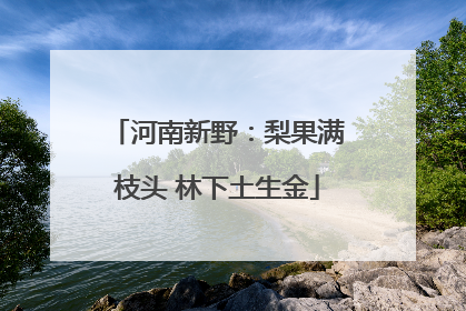 河南新野：梨果满枝头 林下土生金