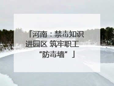 河南：禁毒知识进园区 筑牢职工“防毒墙”