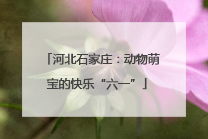 河北石家庄：动物萌宝的快乐“六一”