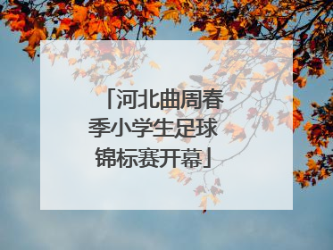 河北曲周春季小学生足球锦标赛开幕