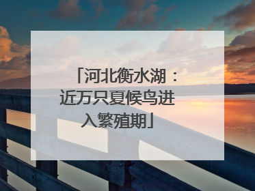 河北衡水湖：近万只夏候鸟进入繁殖期