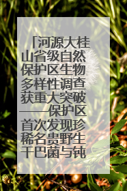 河源大桂山省级自然保护区生物多样性调查获重大突破——保护区首次发现珍稀名贵野生干巴菌与钝尾两头蛇