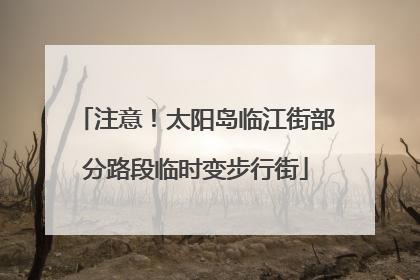注意！太阳岛临江街部分路段临时变步行街