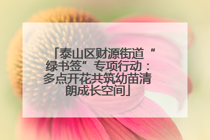 泰山区财源街道“绿书签”专项行动：多点开花共筑幼苗清朗成长空间