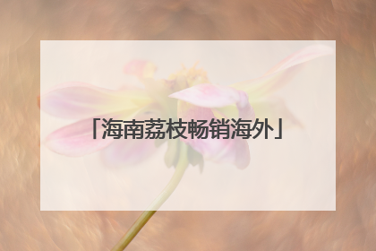 海南荔枝畅销海外