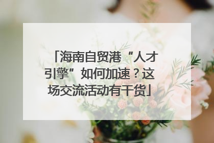 海南自贸港“人才引擎”如何加速？这场交流活动有干货