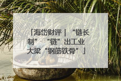 海岱财评｜“链长制” “链”出工业大梁“钢筋铁骨”