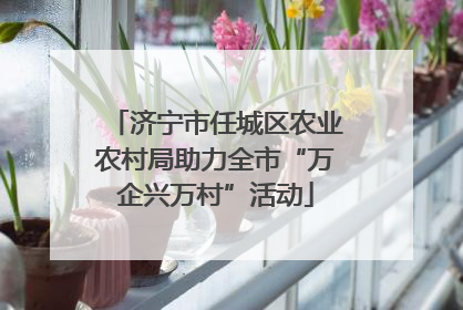 济宁市任城区农业农村局助力全市“万企兴万村”活动