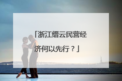浙江缙云民营经济何以先行？