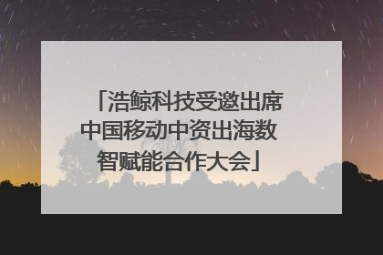 浩鲸科技受邀出席中国移动中资出海数智赋能合作大会
