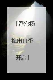 浮宫杨梅出口季开启