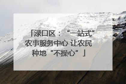 渌口区：“一站式”农事服务中心 让农民种地“不操心”