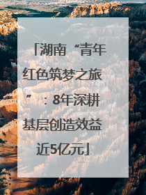 湖南“青年红色筑梦之旅”：8年深耕基层创造效益近5亿元