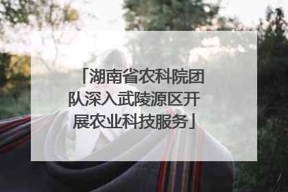 湖南省农科院团队深入武陵源区开展农业科技服务